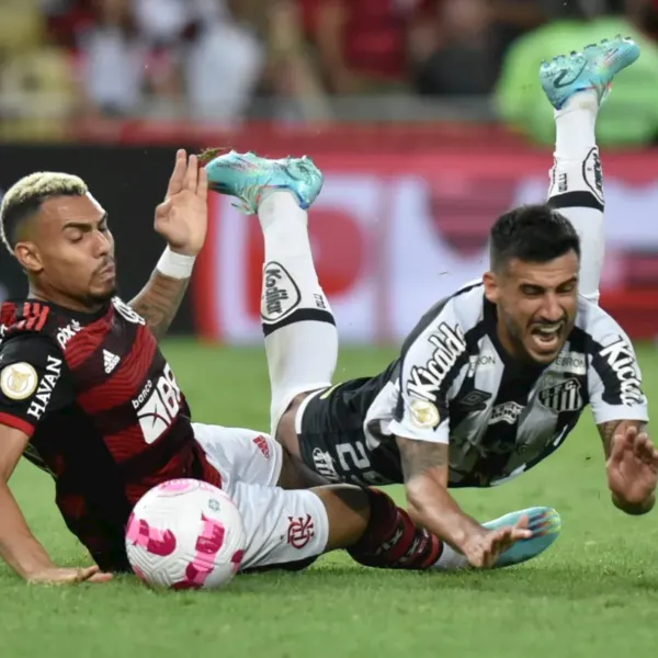 Imagem ilustrativa da imagem Santos reclama em vídeo que foi prejudicado por árbitros em 7 jogos do Brasileiro