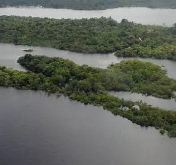 Noruega quer reatar parceria
para cuidar da Floresta Amazônica