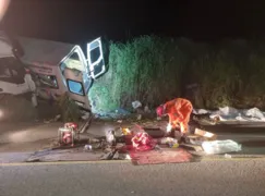 Imagem ilustrativa da imagem Acidente entre van e caminhão deixa 12 mortos na TO-280