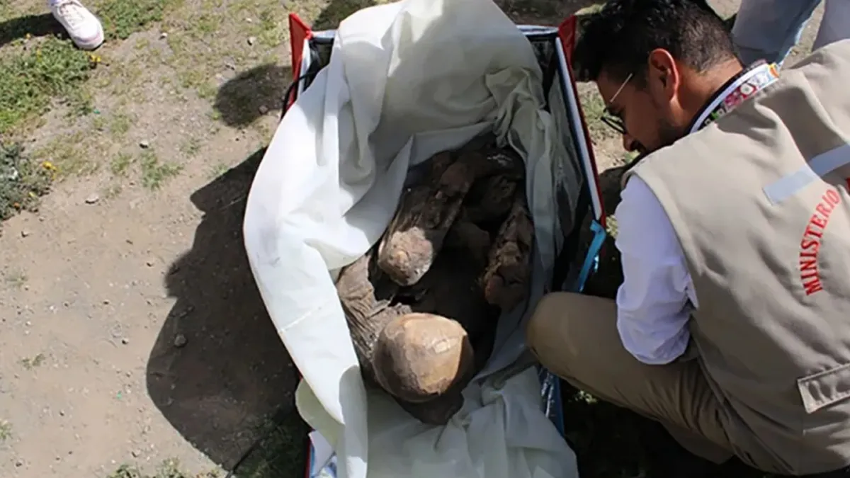 Várias múmias já foram encontradas no Peru, país que abriga centenas de sítios arqueológicos de várias civilizações. Foto/reprodução: Ministério da Cultura do Peru