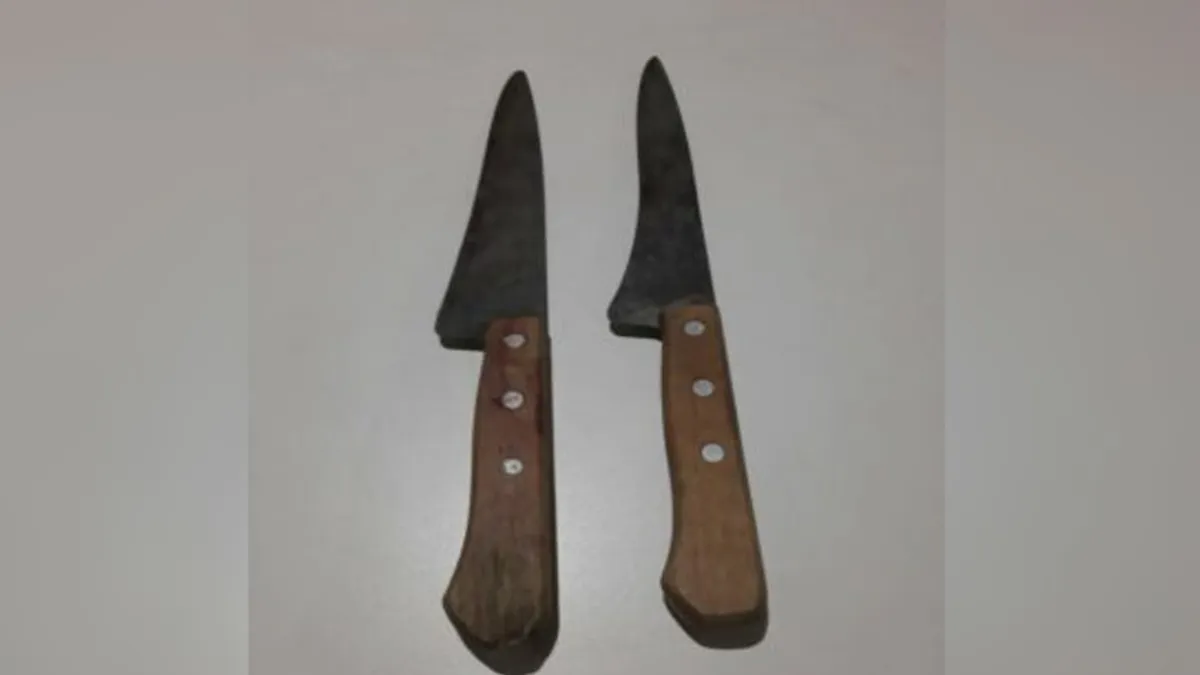 Imagens das facas que foram usadas no crime contra a idosa e o genro. Foto/reprodução: Polícia Civil