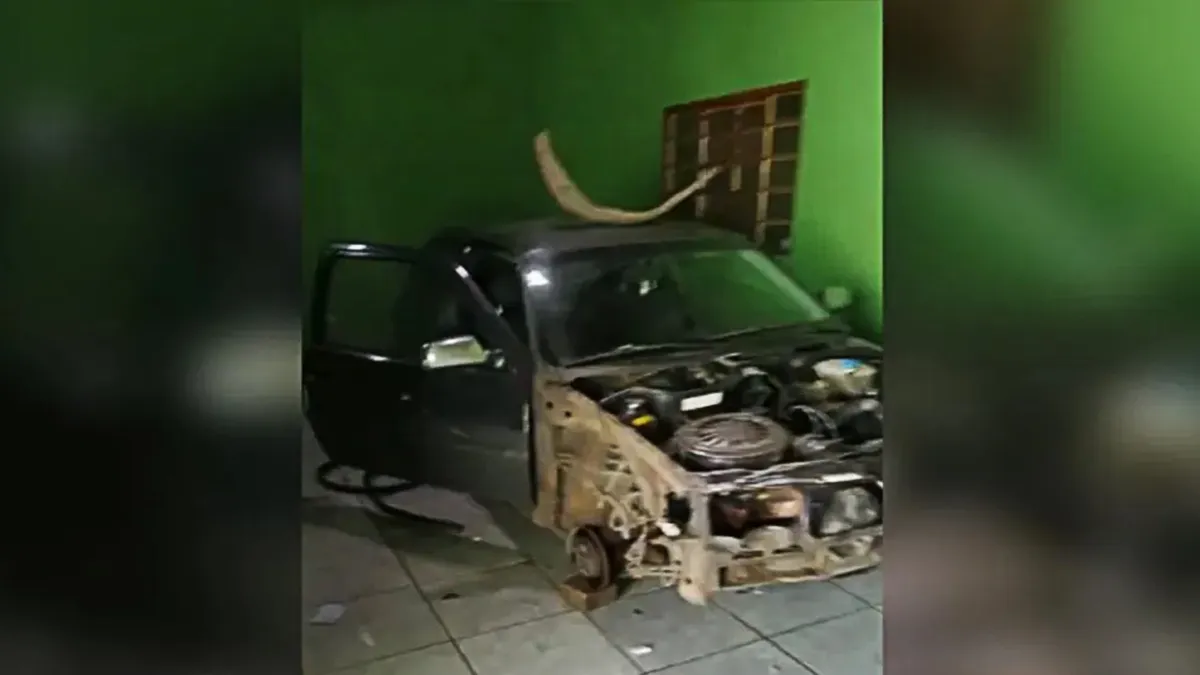 Na residência do homem, no Setor Vila Aurora, foram encontrados motores e peças de outros veículos. Foto/reprodução: Polícia Militar