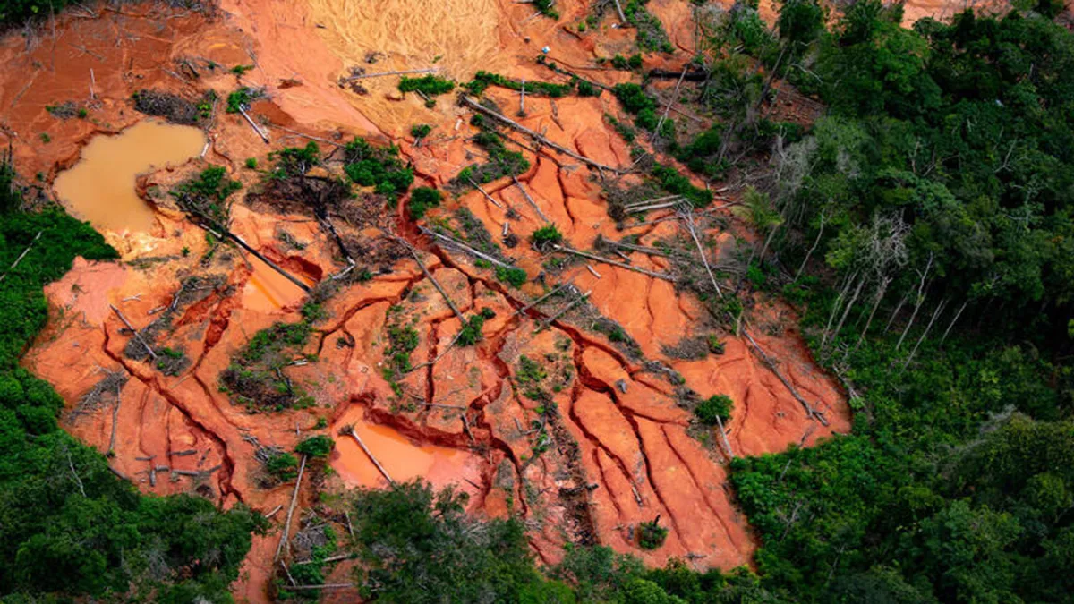 Área desmatada em Terra Indígena Yanomami, em Roraima. Foto/reprodução: Greenpeace