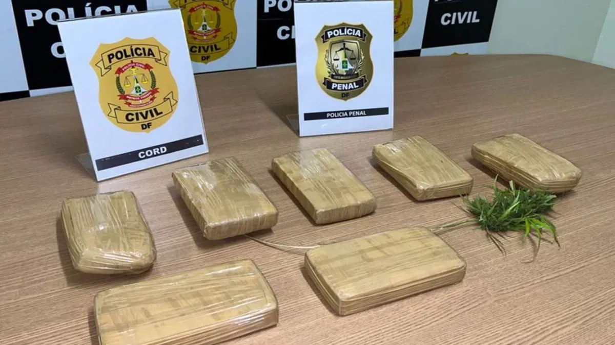 Foram apreendidos cerca de 7kg em pacotes da droga. Foto/reprodução: Polícia Civil