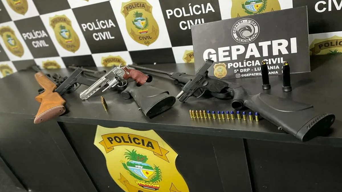Policiais encontraram armas e munições na residência da suspeita. Foto/reprodução: Polícia Civiç