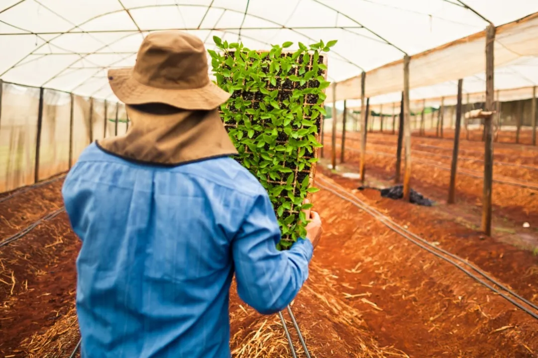 Setor agropecuário goiano criou 4.814 vagas de emprego com carteira assinada no mês de março, destaque para produção de sementes e mudas certificadas