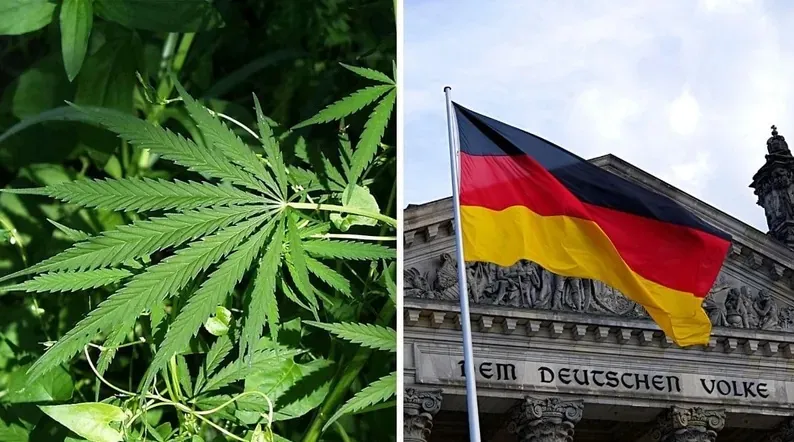 Imagem ilustrativa da imagem Alemanha considera projeto de lei para legalizar o uso recreativo da maconha