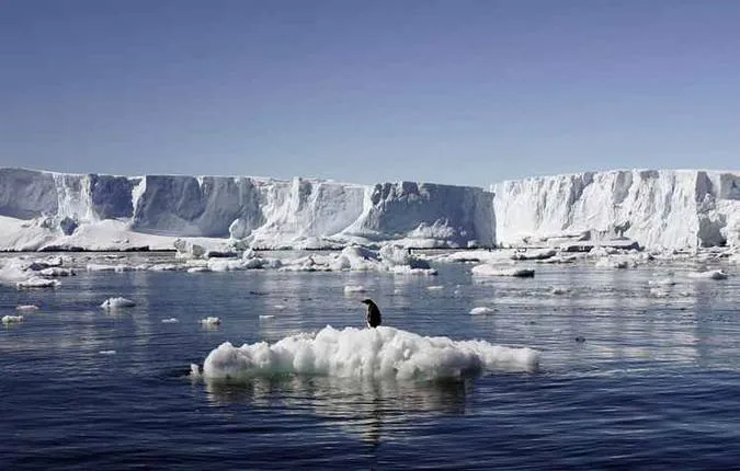 Imagem ilustrativa da imagem Nível de gelo marinho na Antártida registra baixa histórica