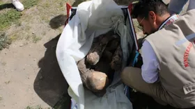 Imagem ilustrativa da imagem Homem é encontrado carregando múmia em sacola no Peru