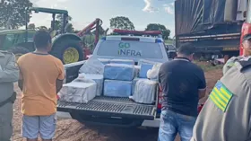Imagem ilustrativa da imagem Motorista de carreta é preso com 600 kg de cocaína na GO-454, em Nova Crixás