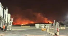 Imagem ilustrativa da imagem Altas temperaturas causam incêndios florestais