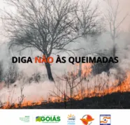 Imagem ilustrativa da imagem Tempo em Goiás: Possibilidade de chuvas isoladas e alto risco de incêndios