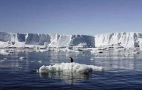 Imagem ilustrativa da imagem Nível de gelo marinho na Antártida registra baixa histórica