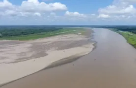 Imagem ilustrativa da imagem Amazônia enfrenta a pior seca dos últimos 40 anos