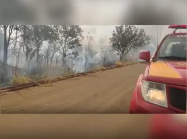 Imagem ilustrativa da imagem Corpo de Bombeiros controla incêndio florestal em Jataí