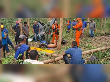 Imagem ilustrativa da imagem Trabalhador rural fica gravemente ferido após queda de árvore