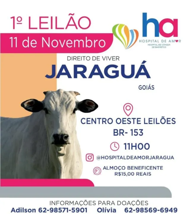 Imagem ilustrativa da imagem Jaraguá, Goiás, realiza primeiro leilão beneficente em apoio ao hospital de amor de Barretos