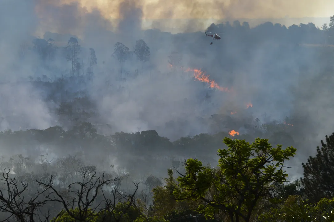 Bombeiros tentam controlar incêndio em área de Cerrado na capital federal (Valter Campanato/Agência Brasil)