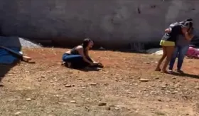 Imagem ilustrativa da imagem Vídeo: Policial atira e mata cachorro durante abordagem