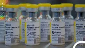 Imagem ilustrativa da imagem Vacina contra febre amarela: como é administrada?