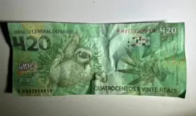 Imagem ilustrativa da imagem Nota falsa de R$ 420 com bicho-preguiça é apreendida em operação contra o tráfico