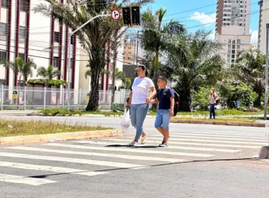 Imagem ilustrativa da imagem Prefeitura reforça importância do respeito à faixa de pedestre