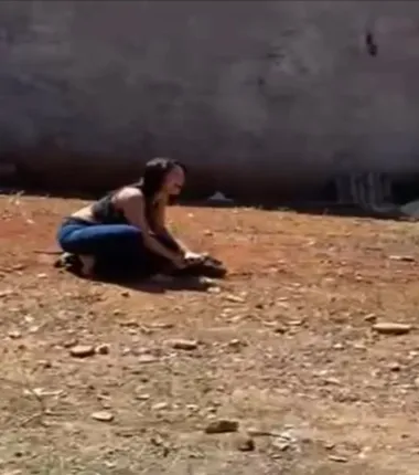 Imagem ilustrativa da imagem Vídeo: Policial atira e mata cachorro durante abordagem