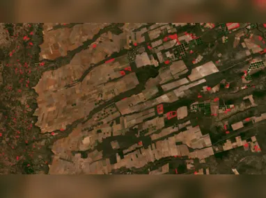 Imagem ilustrativa da imagem Cresce o nível de desmatamento no Cerrado em setembro