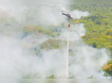 Imagem ilustrativa da imagem No Amazonas, máscaras voltam por causa da fumaça das queimadas