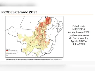 Imagem ilustrativa da imagem Desmatamento em Goiás cai 18% na comparação com 2022, diz governo federal