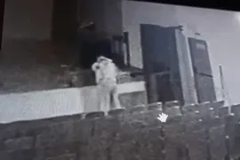 Imagem ilustrativa da imagem Vídeo mostra diretor afastado de escola durante sexo com funcionária