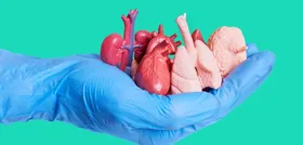 Imagem ilustrativa da imagem Autorização para doação eletrônica de órgãos
