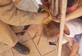 Imagem ilustrativa da imagem Bombeiros resgatam criança que prendeu a cabeça em grade