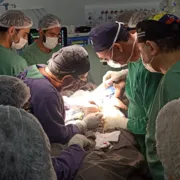 Imagem ilustrativa da imagem Gêmeas siamesas de São Paulo são separadas em cirurgia de 15 horas de