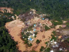 Imagem ilustrativa da imagem Amazônia: garimpo ilegal em terras indígenas subiu 1.217% em 35 anos