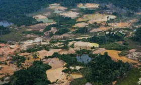 Imagem ilustrativa da imagem Cerca de mil garimpeiros resistem a deixar terra Yanomami, na Amazônia