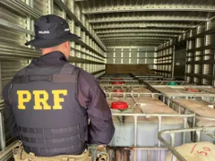 Imagem ilustrativa da imagem Caminhão roubado com carga suspeita de produto tóxico é recuperado pela PRF