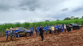 Imagem ilustrativa da imagem Operação resgata mais de 200 trabalhadores escravizados em Goiás