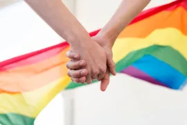 Imagem ilustrativa da imagem Retrocesso: Casamento Civil homoafetivo é alvo de projeto conservador na Câmara