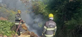 Imagem ilustrativa da imagem Bombeiros resgatam vítima de acidente na Rodovia GO-139 e controlam incêndio em veículo