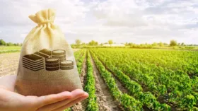 Imagem ilustrativa da imagem Governo Federal anuncia R$ 364,2 bi para setor rural