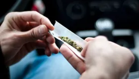 Imagem ilustrativa da imagem STJ autoriza três pacientes a cultivarem cannabis para fins medicinais