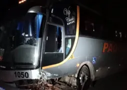 Imagem ilustrativa da imagem Ônibus com 35 crianças é atingido por carro conduzido por homem bêbado