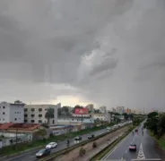 Imagem ilustrativa da imagem Chuva inesperada chega a Goiânia acompanhada de ventania