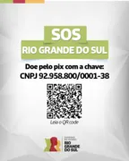 Imagem ilustrativa da imagem Governo do RS cria chave PIX de conta oficial para receber doações
