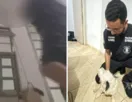 Jovem é apreendido depois de live em que enforca cachorro