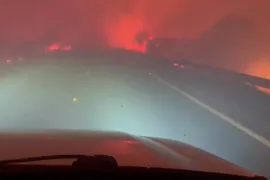 Imagem ilustrativa da imagem Motorista passa por 'corredor de fogo' durante incêndio no Pantanal