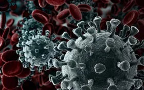 Imagem ilustrativa da imagem Vírus testado em laboratório da China tem 100% de mortalidade