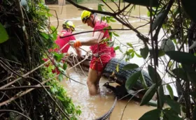 Imagem ilustrativa da imagem Homens morrem afogados após carro cair dentro de rio