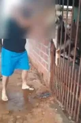 Imagem ilustrativa da imagem Homem é preso após agredir cachorro preso em portão